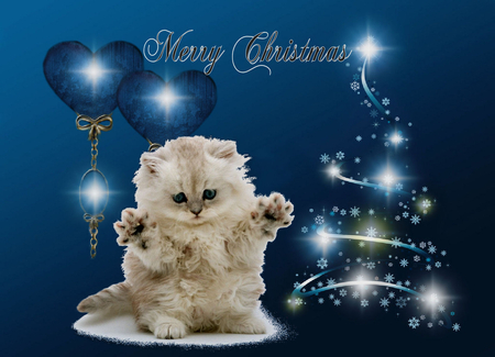 In names of the animals the Put out and on the street of lives We wish a nice Christmas period